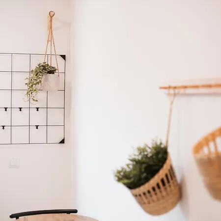 Holiday home La Paloma Alojamentos *